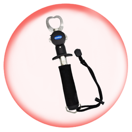Gripper